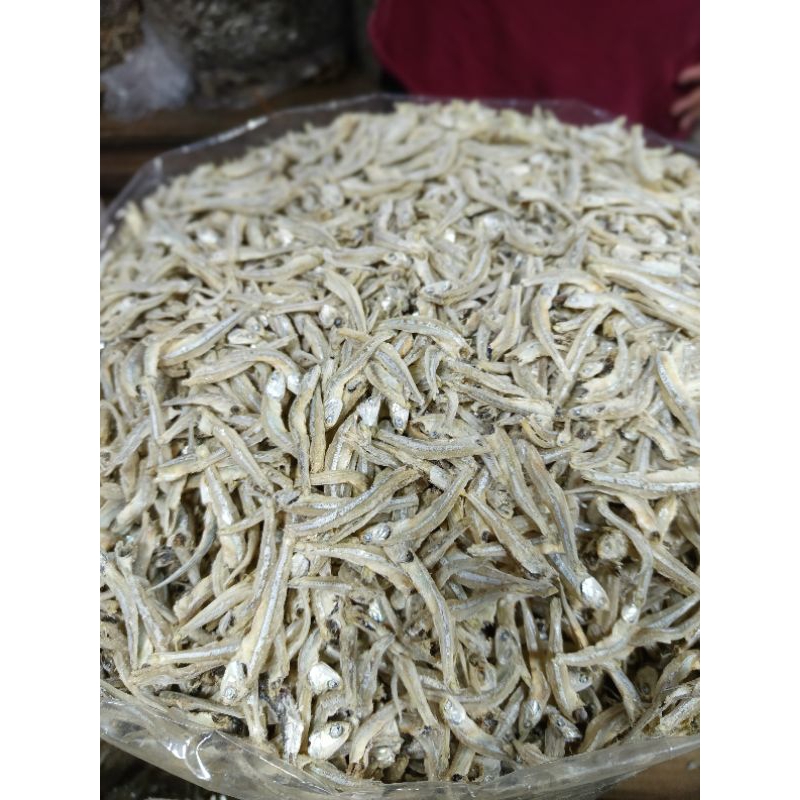 

ikan teri tanjung