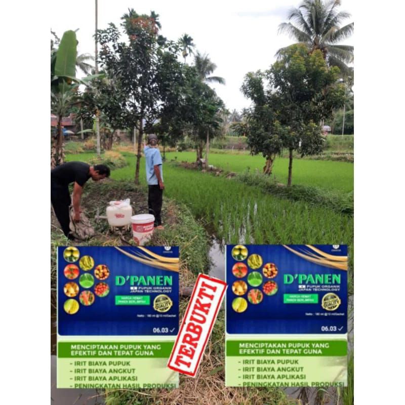 Pupuk d,panen original 1 box (18 sachet)harga hemat panen berlimpah