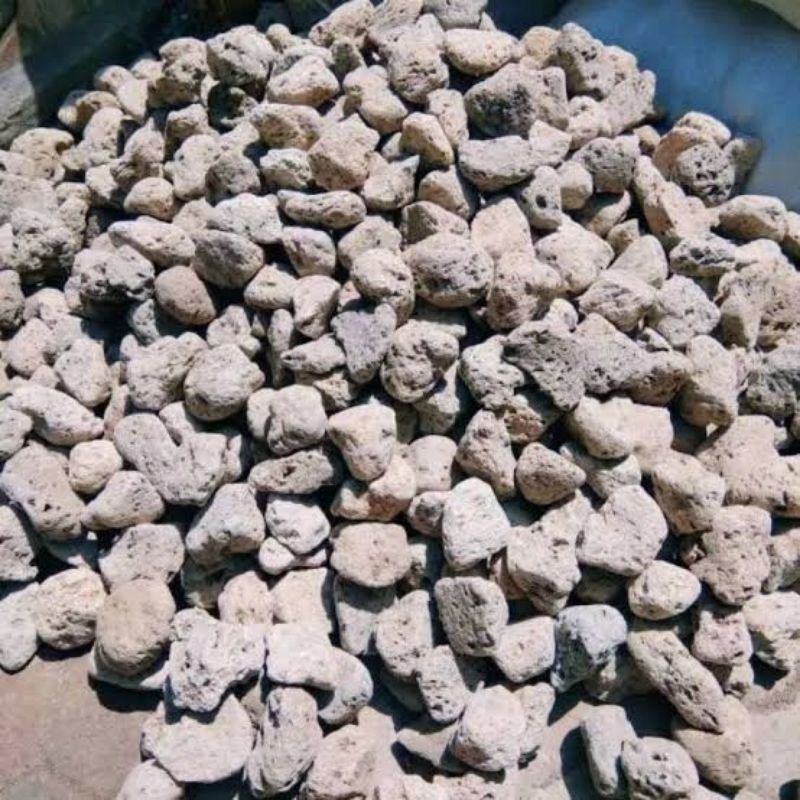 batu apung sedeng batu apung pumice media filter aquarium aquascape