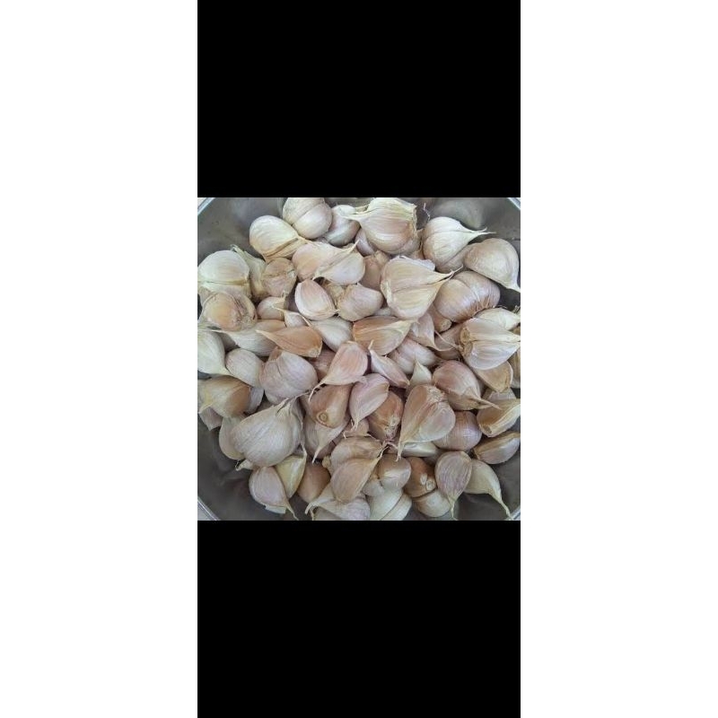 

bawang putih kating bersih 5 kg