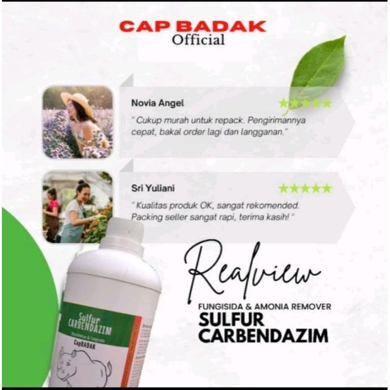 DISINFEKTAN CAP BADAK,SULFUR CARBENDAZIM 1LITER
