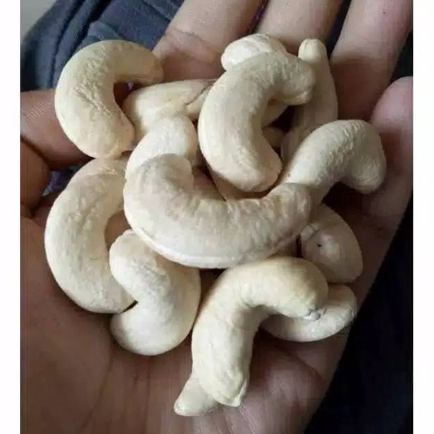

Terbatas Kacang mete mentah fres 1 kg J66