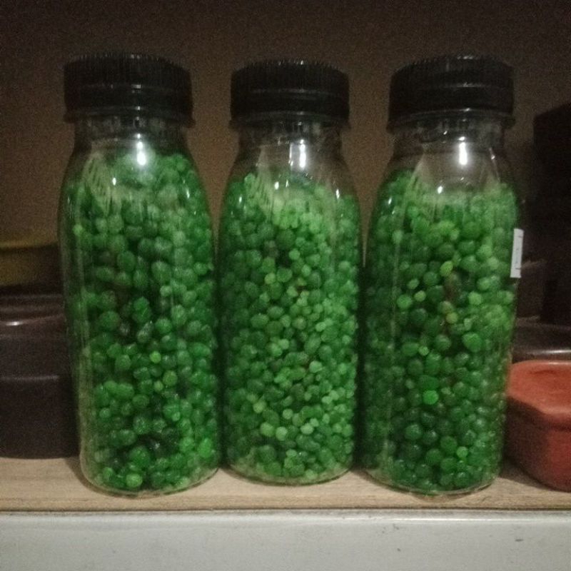 Pupuk Bioplus repack 100gr pupuk fast starter pupuk bonsai