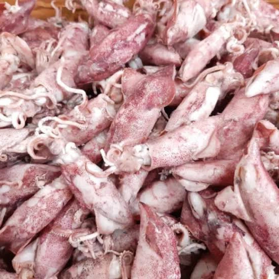 

Cumi asin 100gr-250gr Lapak Pesanan