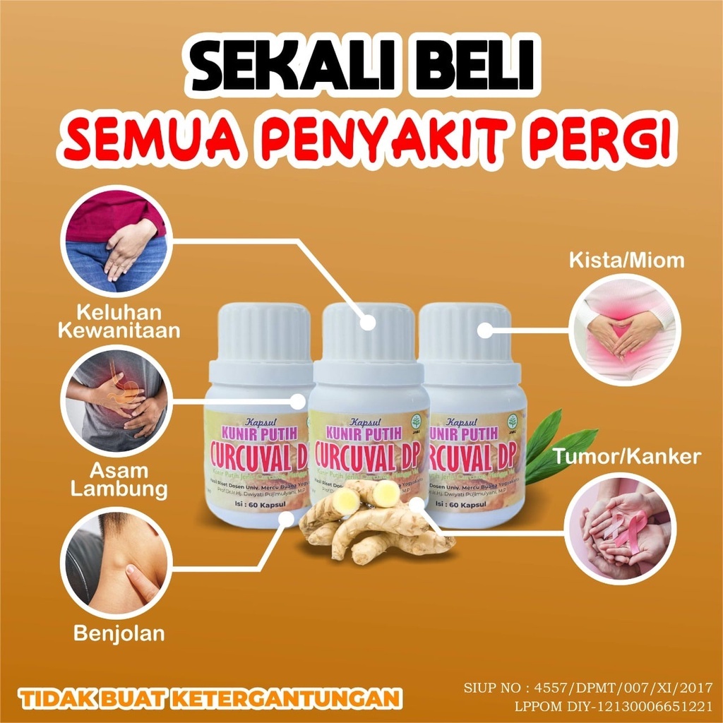 Kunir putih Curcuval DP