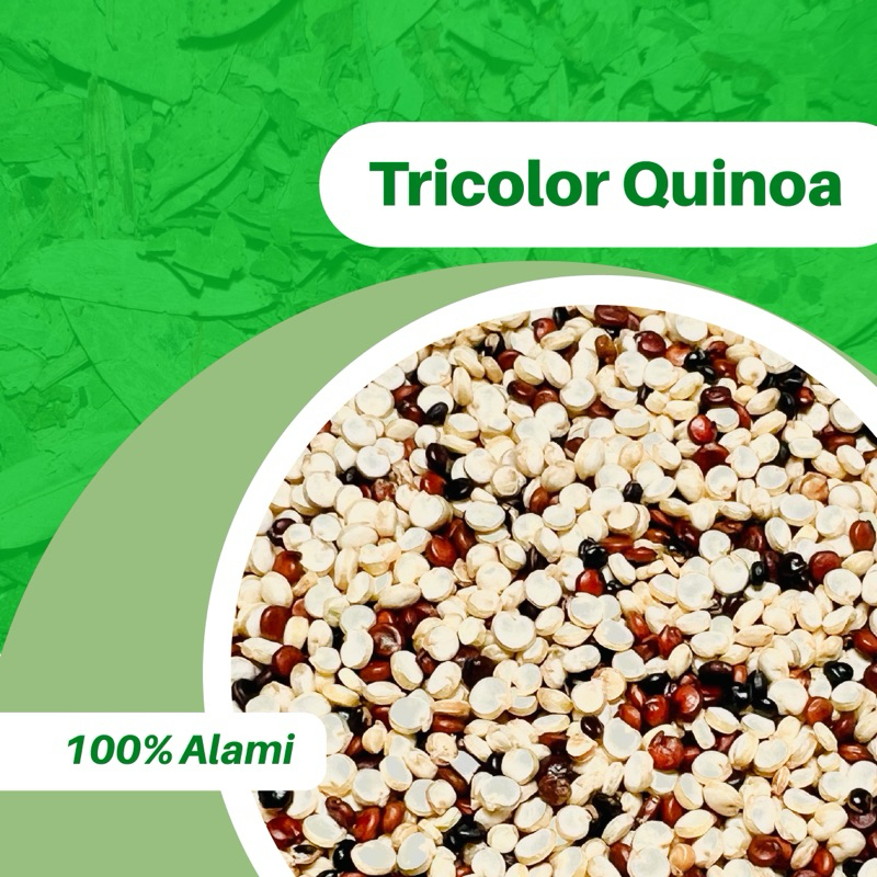 

100GR TRICOLOR QUINOA BIJI QUINOA 100% ORI