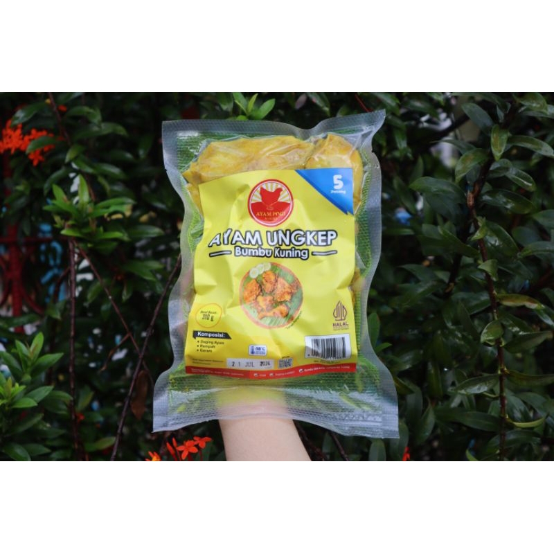 

Ayam Ungkep Bumbu Kuning Isi 5 (Siap Goreng)