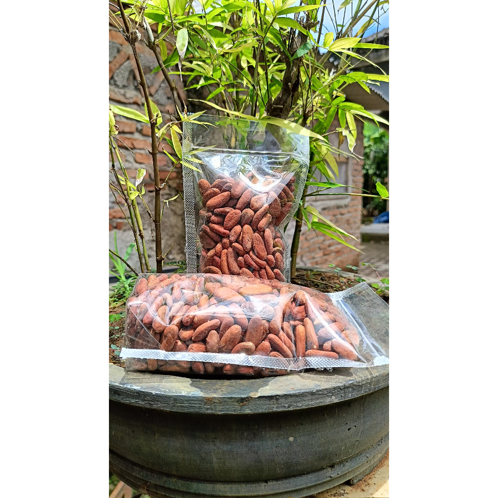 

RAW Cocoa Bean / Biji Cokelat Non-Fermented High Quality-500gr