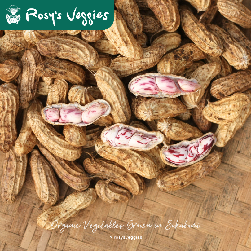 

Kacang Tanah Madu Organik | 400 gr