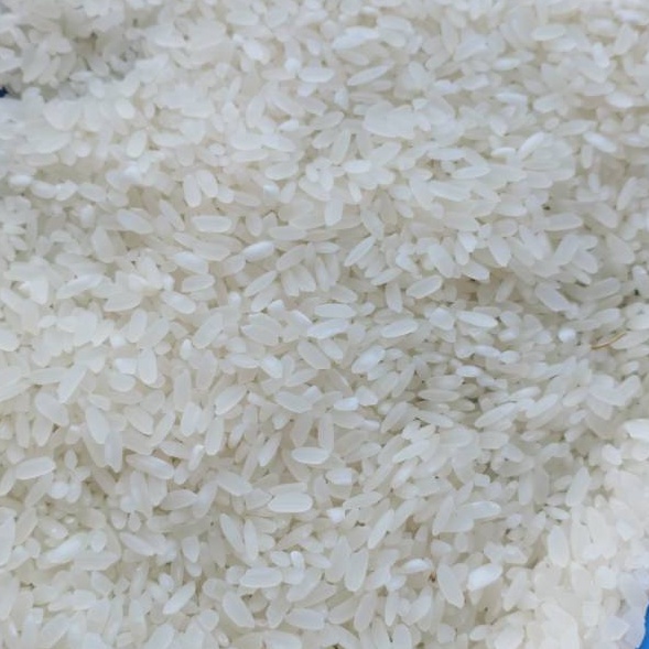 

FSASH SALE Pandan Wangi Super 1Liter Nasi hoka2 bento