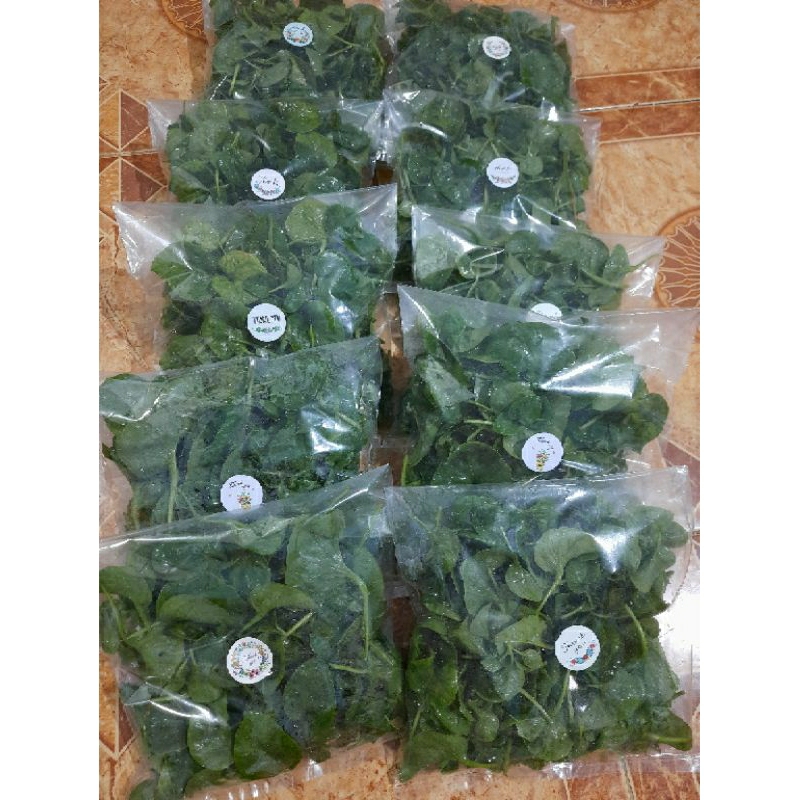 

Sayur Bayam Brazil Organik 50gram