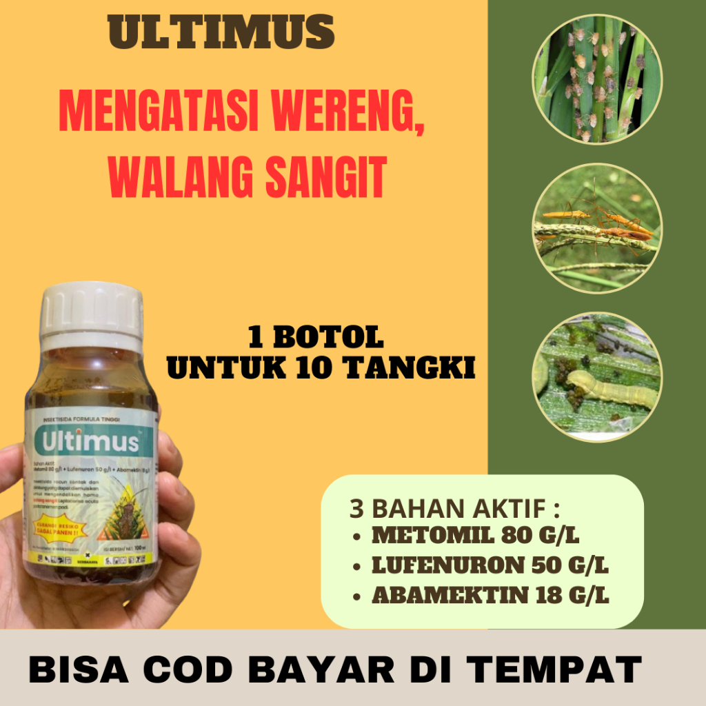 Insektisida Wereng Paling Ampuh Ultimus 100ml Pengendali Wereng Walang Sangit Tanaman Padi