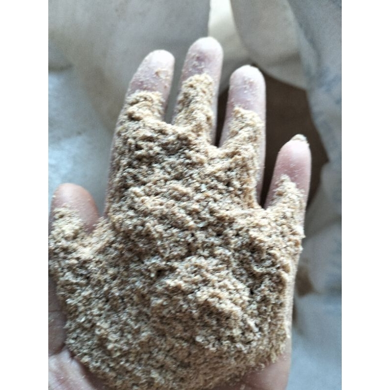 polar/katul gandum 1 kg