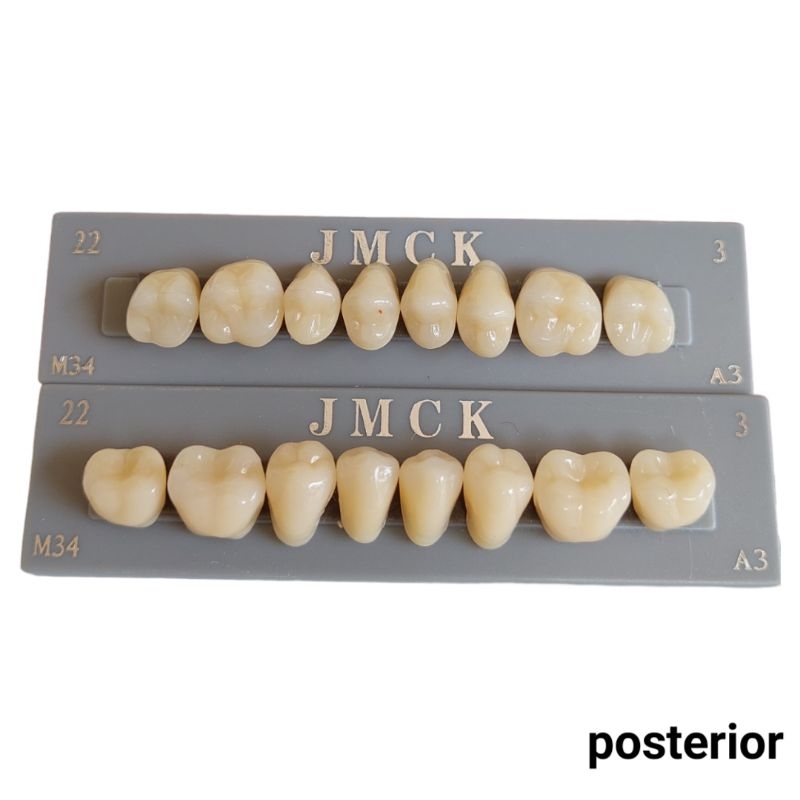 Gigi Palsu Paket Gigi Belakang Atas dana Bawah (Posterior)