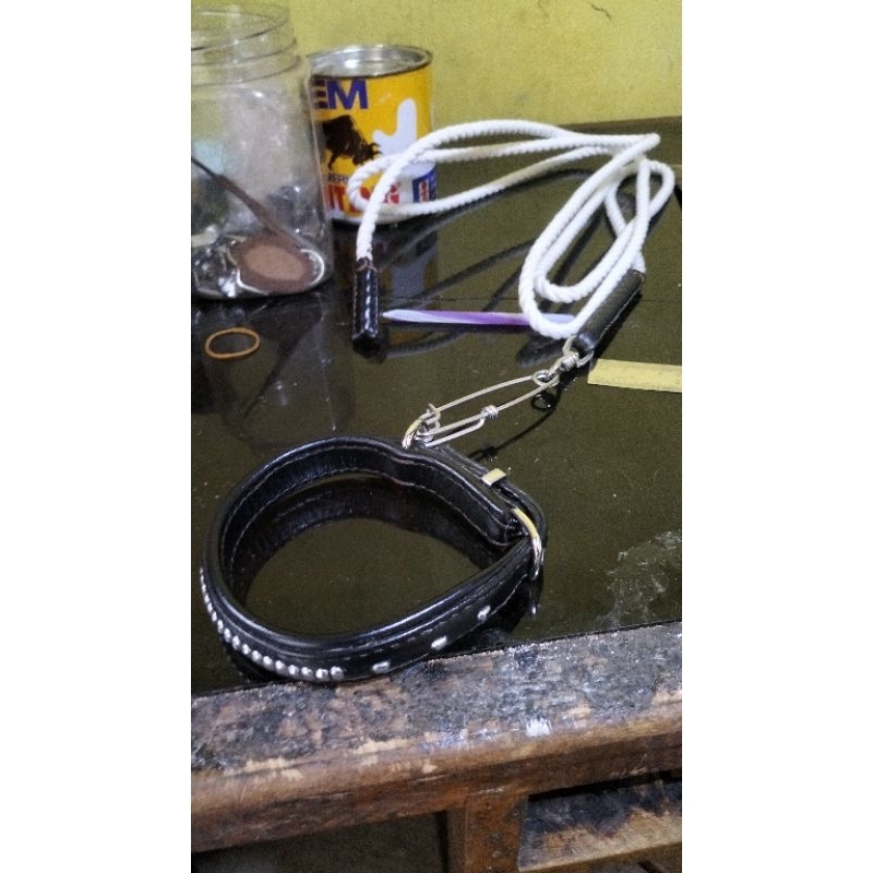 Kalung anjing, kalung+tali, kongkorong dogi,Tambang anjing