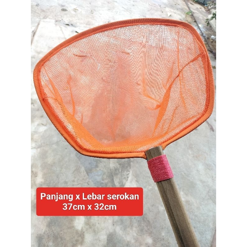 Serokan ikan hias serokan kutu air