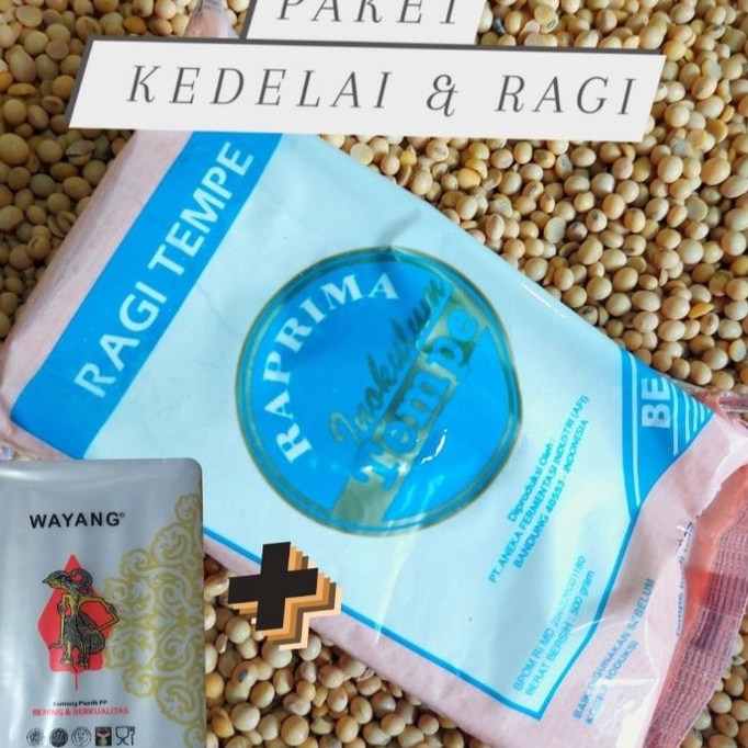 

Tawaran PAKET MEMBUAT TEMPE