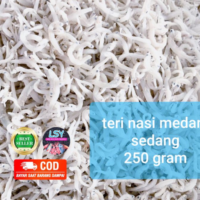 

FG2 ikan asin teri nasi medan size sedang 25gr