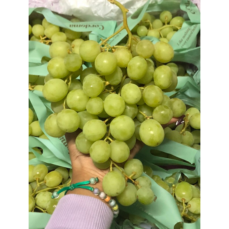 

Anggur Hijau Sweet Globe Australia Cordoma jumbo /kg