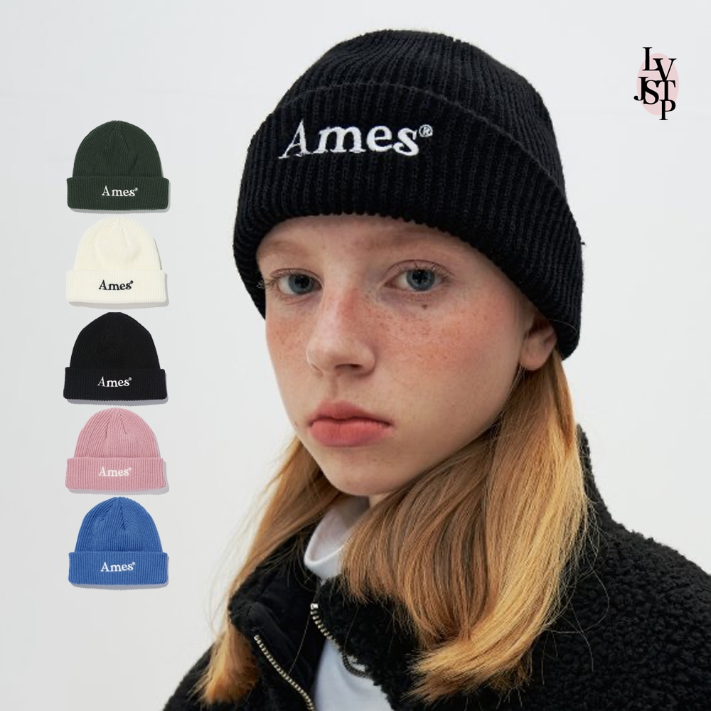 AMES Colored Logo Beanie