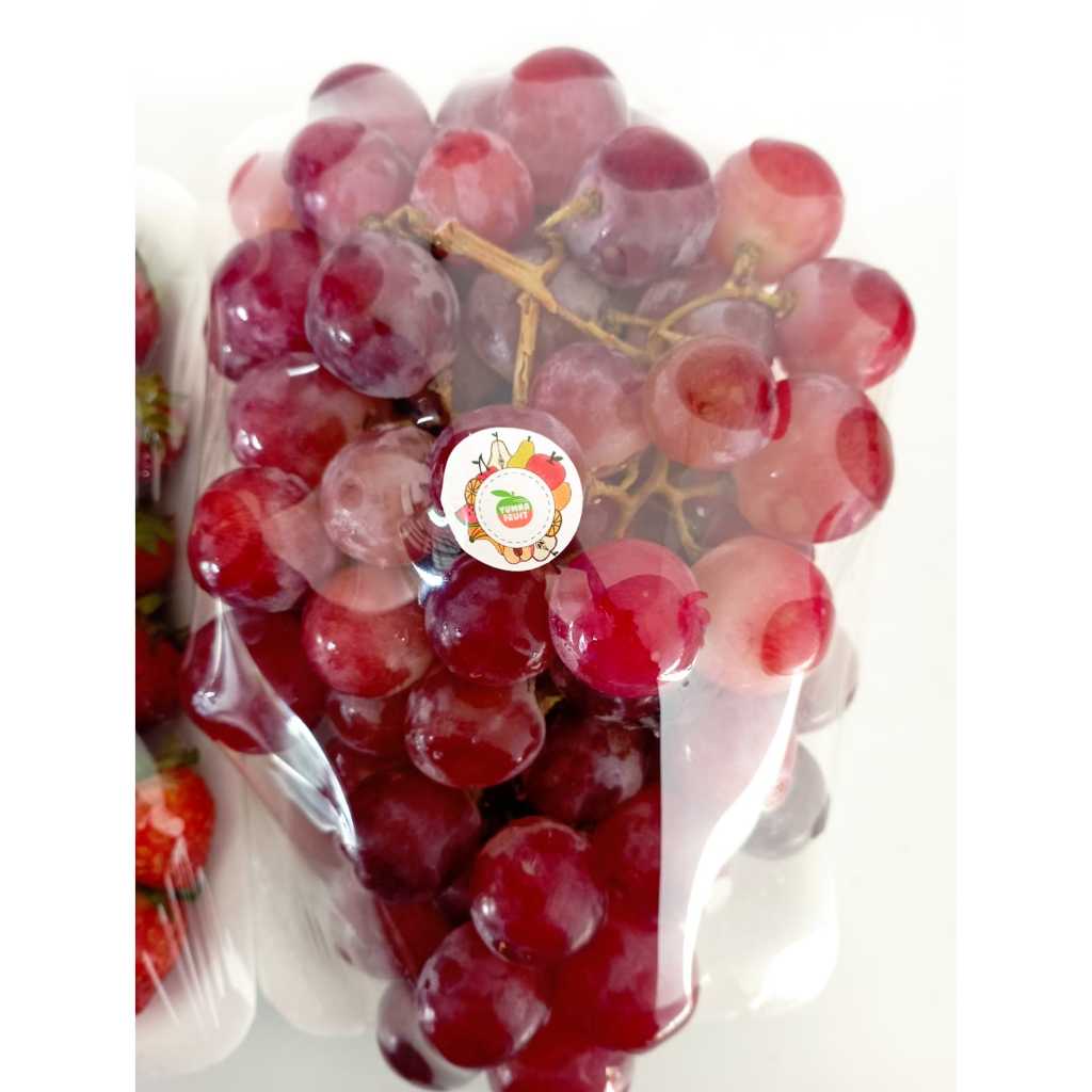 

Anggur M3rah Murah! Kualitas Terbaik, Manis, Segar Langsung Petani Bandung