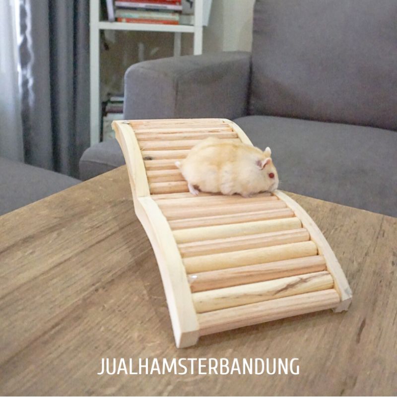 Jembatan Hamster | Jembatan Kayu Hamster | Mainan Hamster