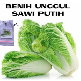 Benih Bibit sawi putih