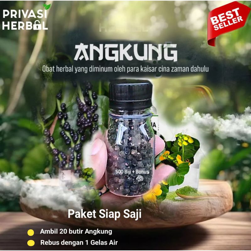 

Biji Buah Angkung Binahong Kering Isi 300 biji + 20 biji Bonus Siap Konsumsi Obat Stroke