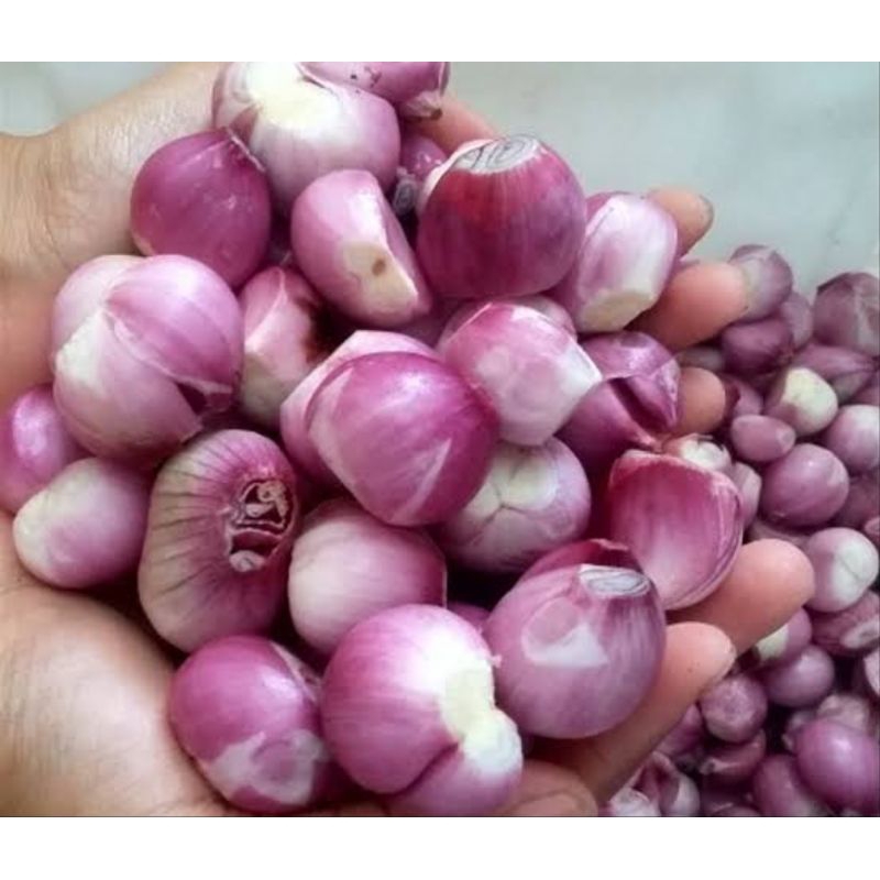 

Bawang merah sudah dikupas berat 100g bumbu rempah masakan