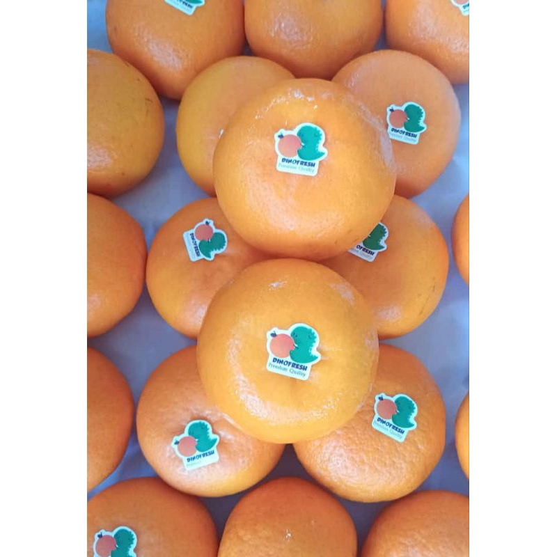 

Jeruk Wogan Mandarin