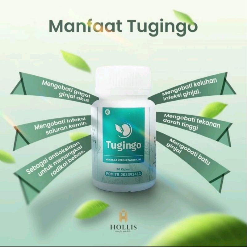 TUGINGO - OBAT BATU GINJAL HERBAL PENYAKIT GINJAL KRONIS/GAGAL GINJAL
