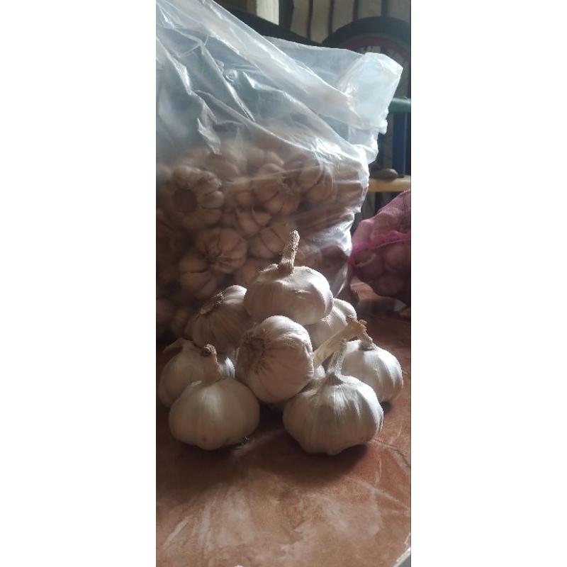 

bawang putih belum d kupas super1 kg