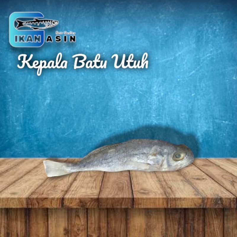 

Ikan Asin Kepala Batu Utuh Kualitas Super