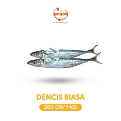 

Ikan Dencis Biasa