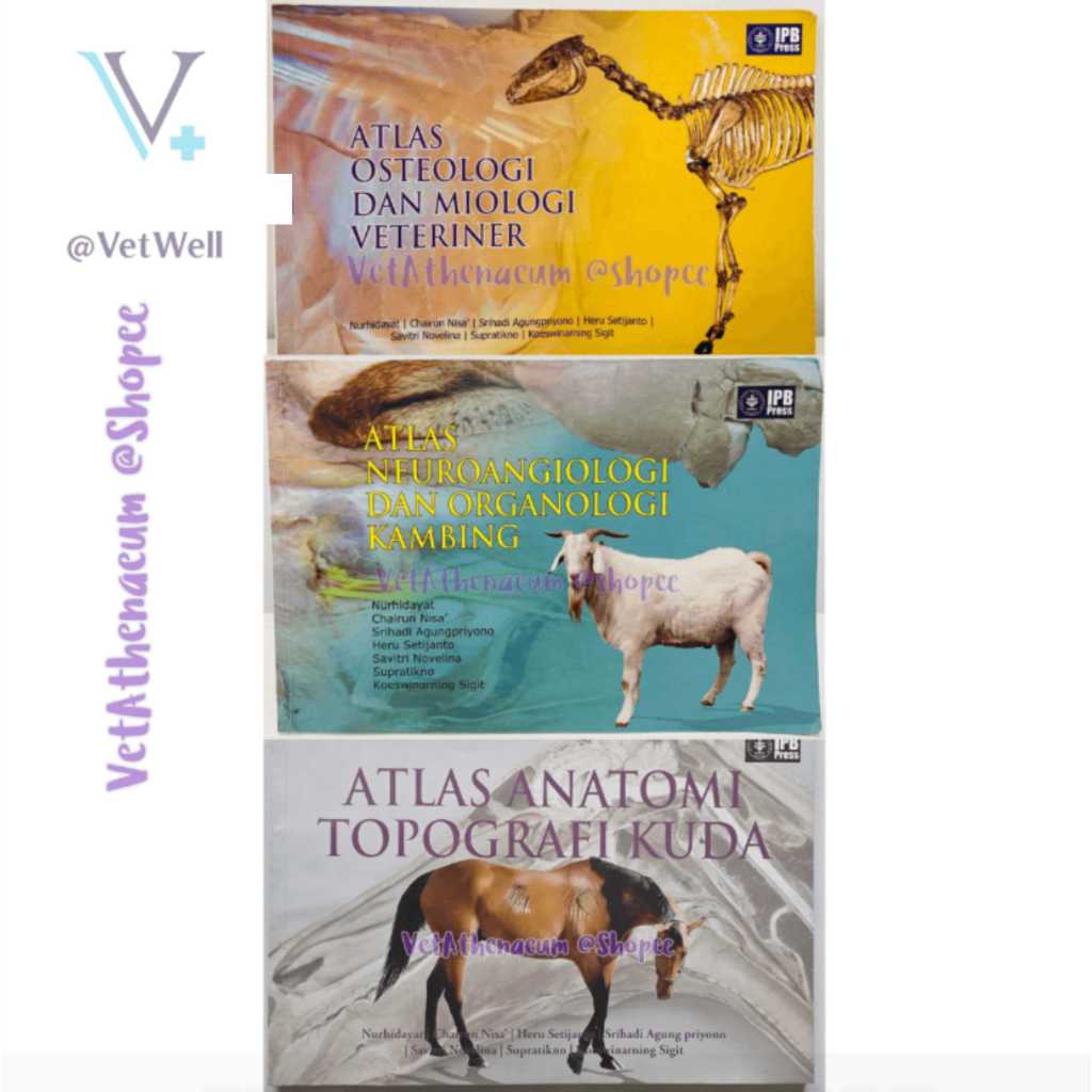 Atlas ANATOMI HEWAN / Atlas Anatomi Veteriner