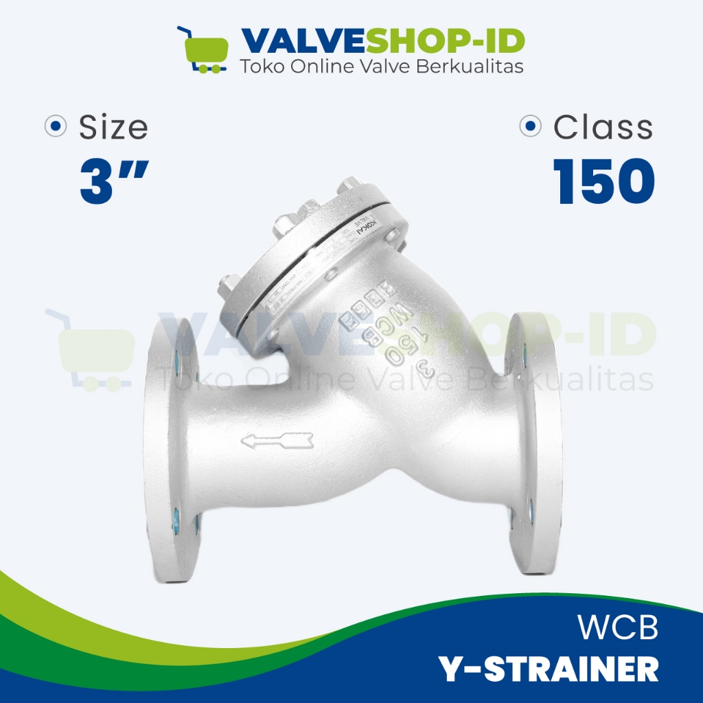 Y-Strainer 3" 150LB WCB