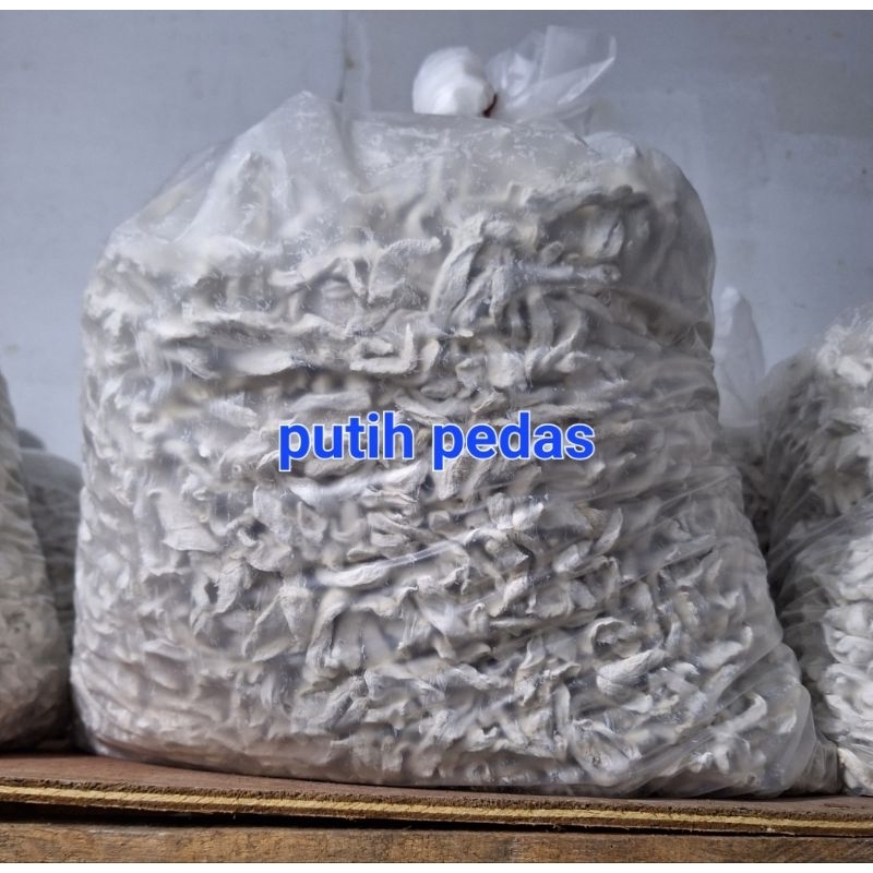 

Mangga putih pedas swangheng bale