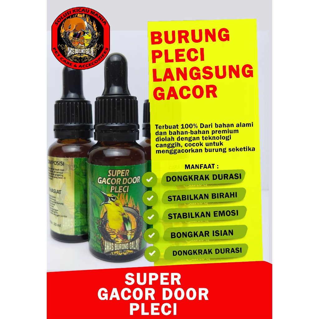 SUPER GACOR DOOR PLECI PENGGACOR SEKETIKA