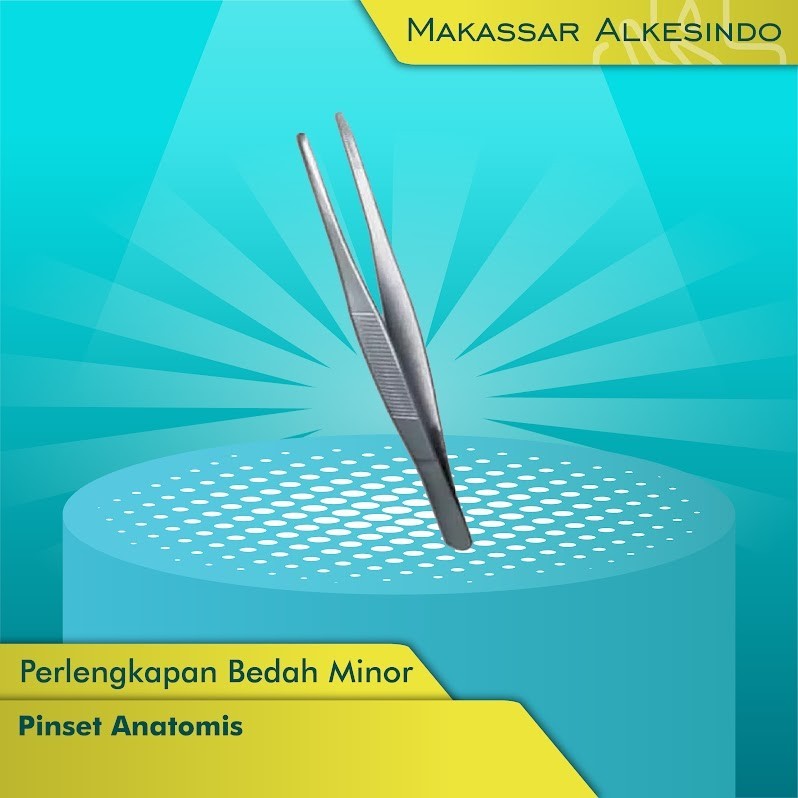 Pinset Anatomis