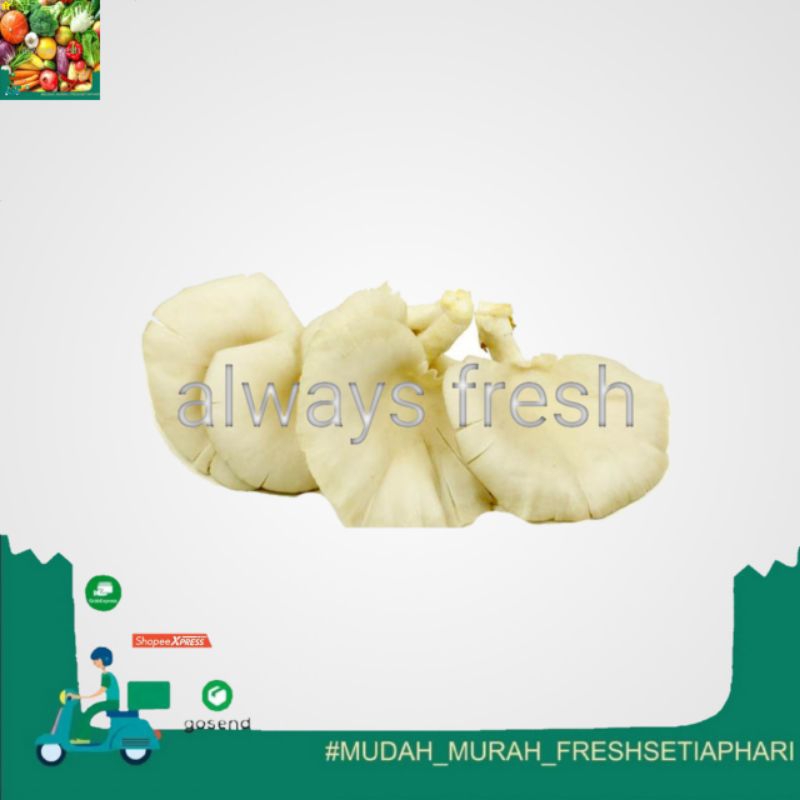 

- always fresh palembang