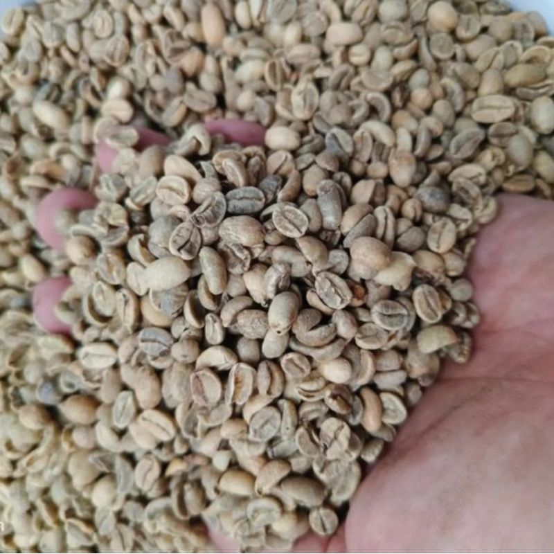 

Arabika Ijen full wash Small bean PTPN 1kg