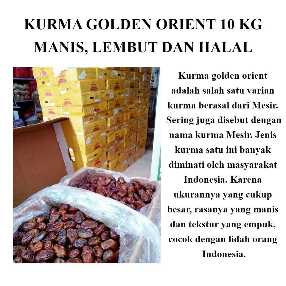 

Cemilan Sehat Bulan Ramadhan Kurma Mesir 5kg & 10 kg merk Golden Orient, Cemilan Bernutrisi Bebas Lemak Jenuh, Bebas Kolesterol,Rendah Gula, Bebas GMO