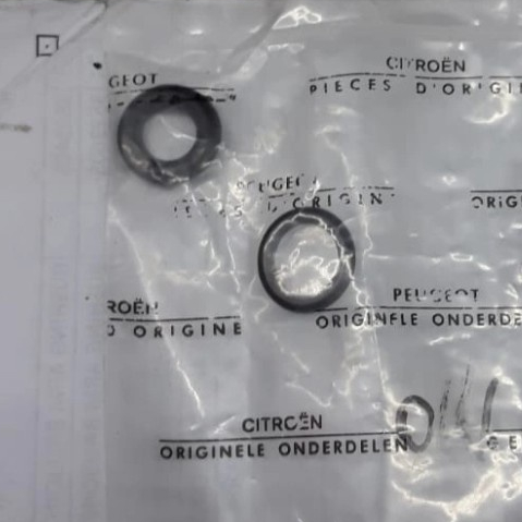 Seal Oring Injector / Injektor 1 set (2 pcs) Peugeot 206