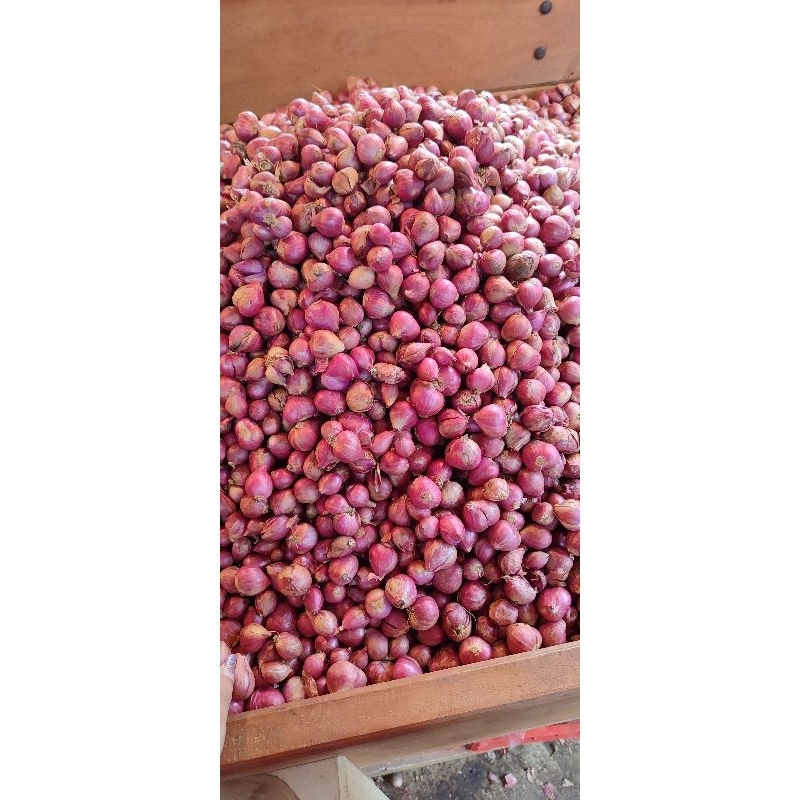 

bawang merah super 1kg