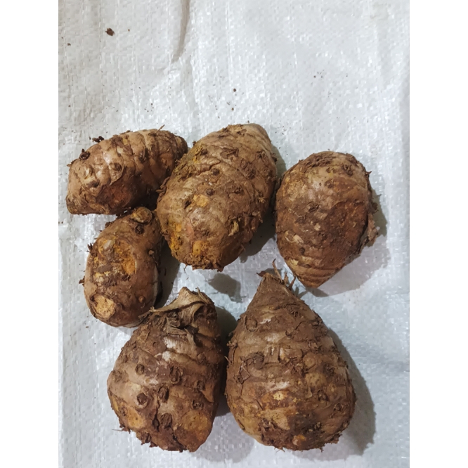 

Temulawak 1kg Temulawak 1kg