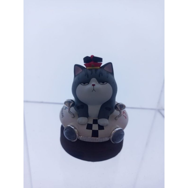 

co custom 2
