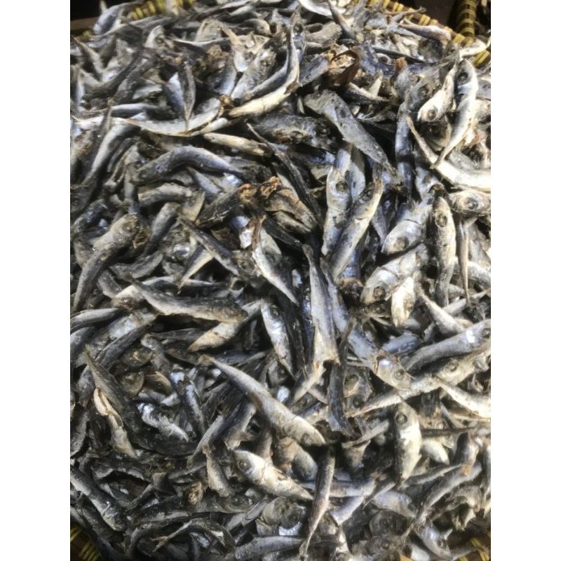 

Ikan Kering Tamban