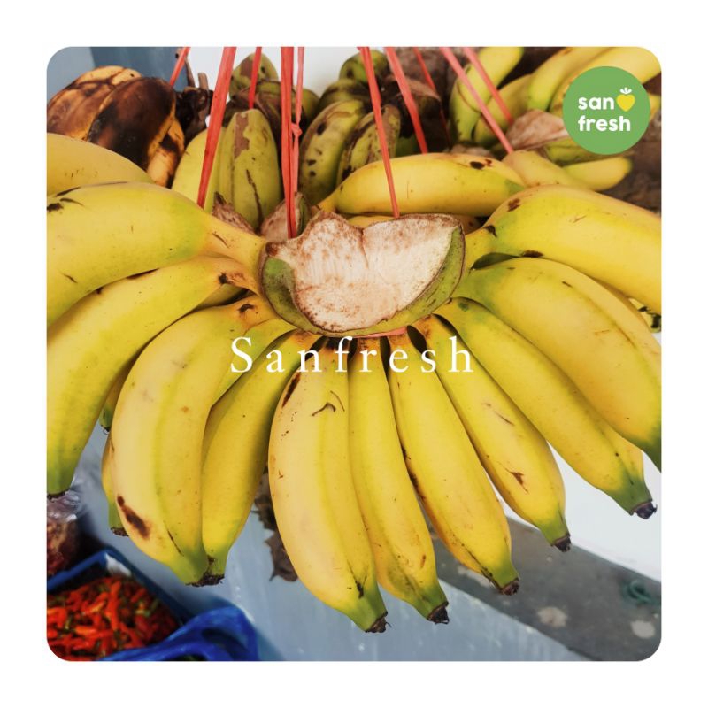 

Sensasi Manis Unik Pisang Muli - Nikmati Kelezatan Langka! - Sanfresh