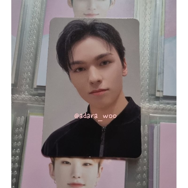 SEVENTEEN VERNON YIZHIYU B SECTOR 17