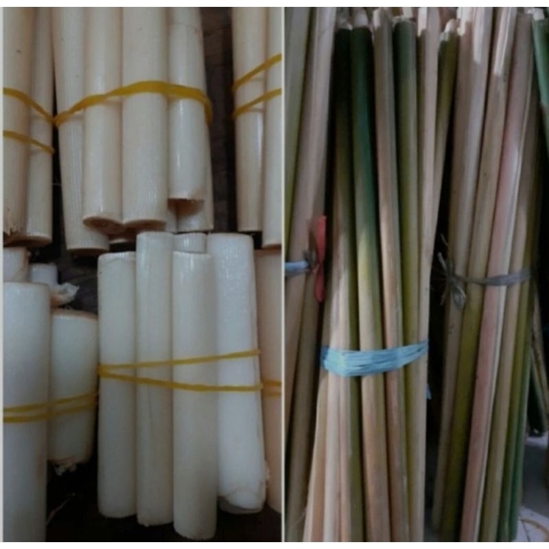 

Batang kecombrang segar 500 grm - batang kemcombrang bahan masakan segar